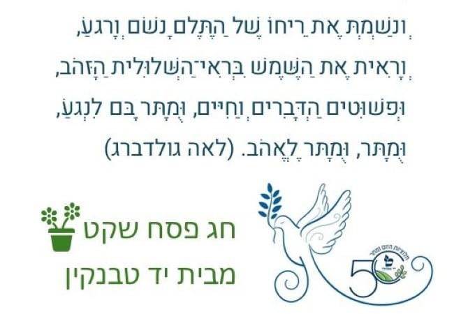 אירועים קרובים ביד טבנקין